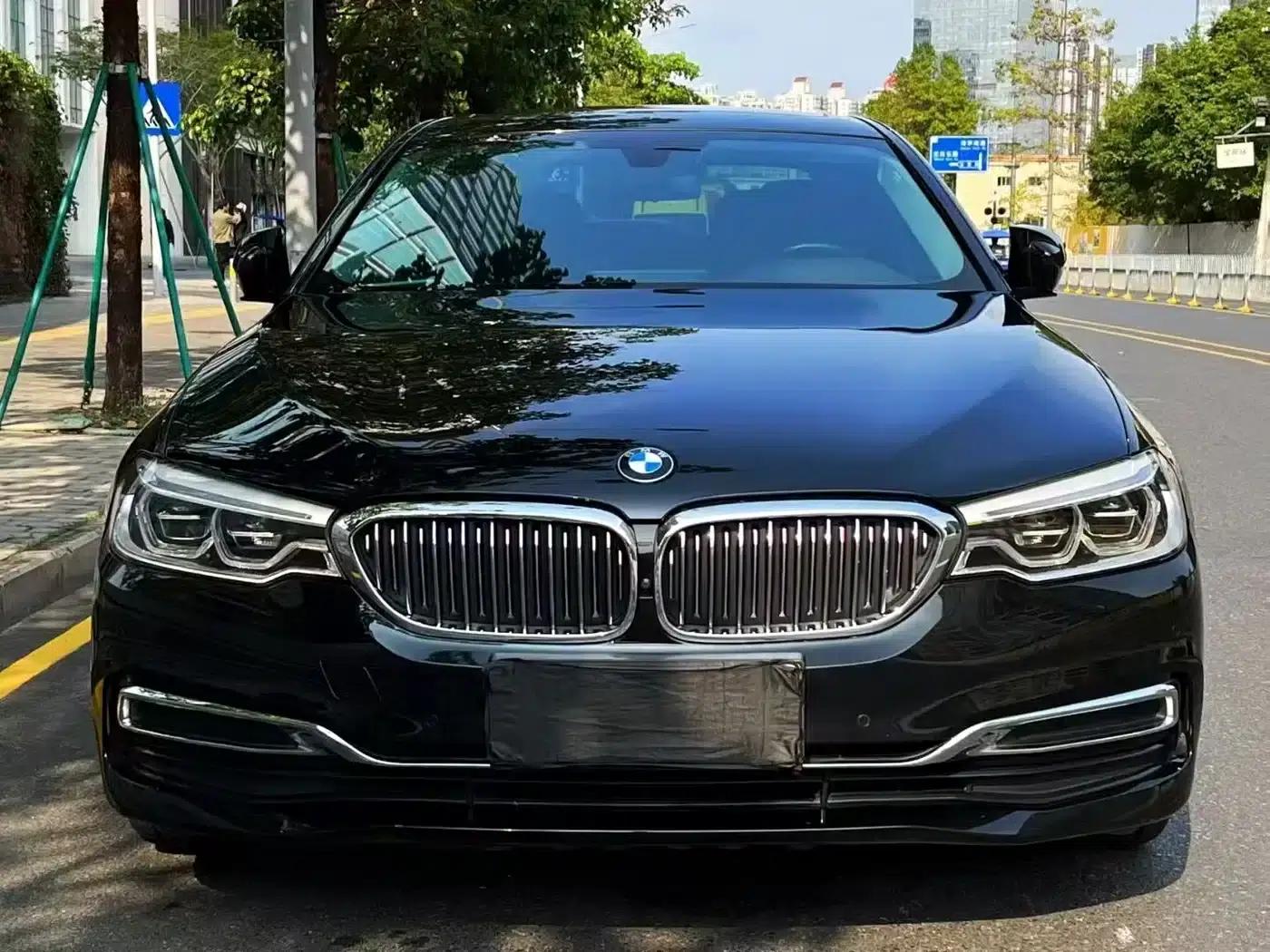BMW 5 Series 2020 530Li Luxury Package — миниатюра 2