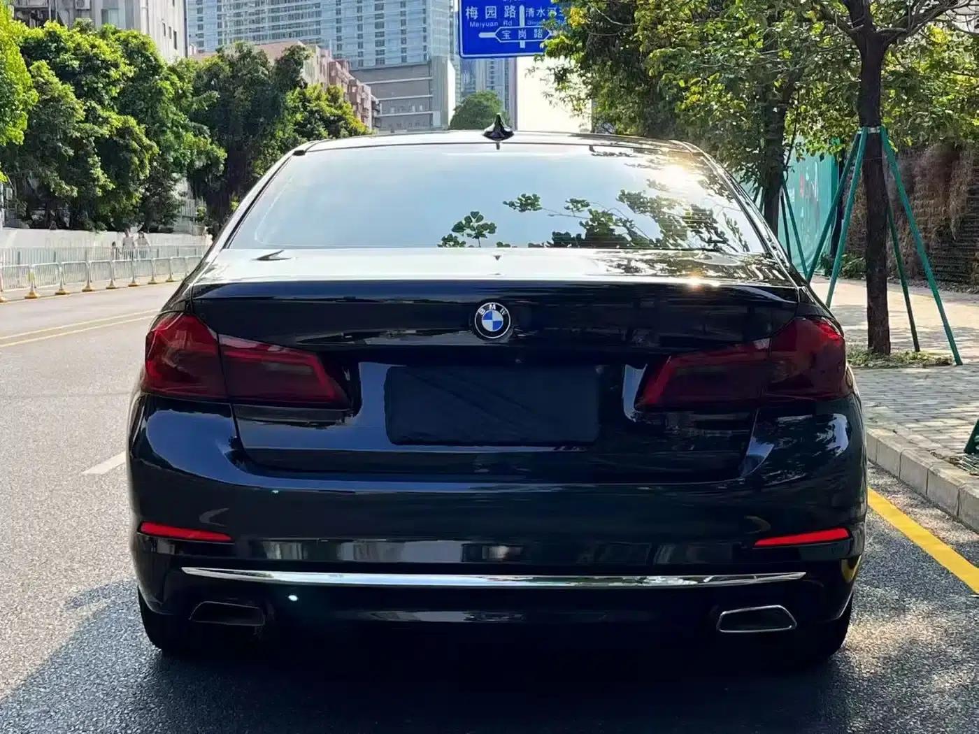 BMW 5 Series 2020 530Li Luxury Package — миниатюра 8