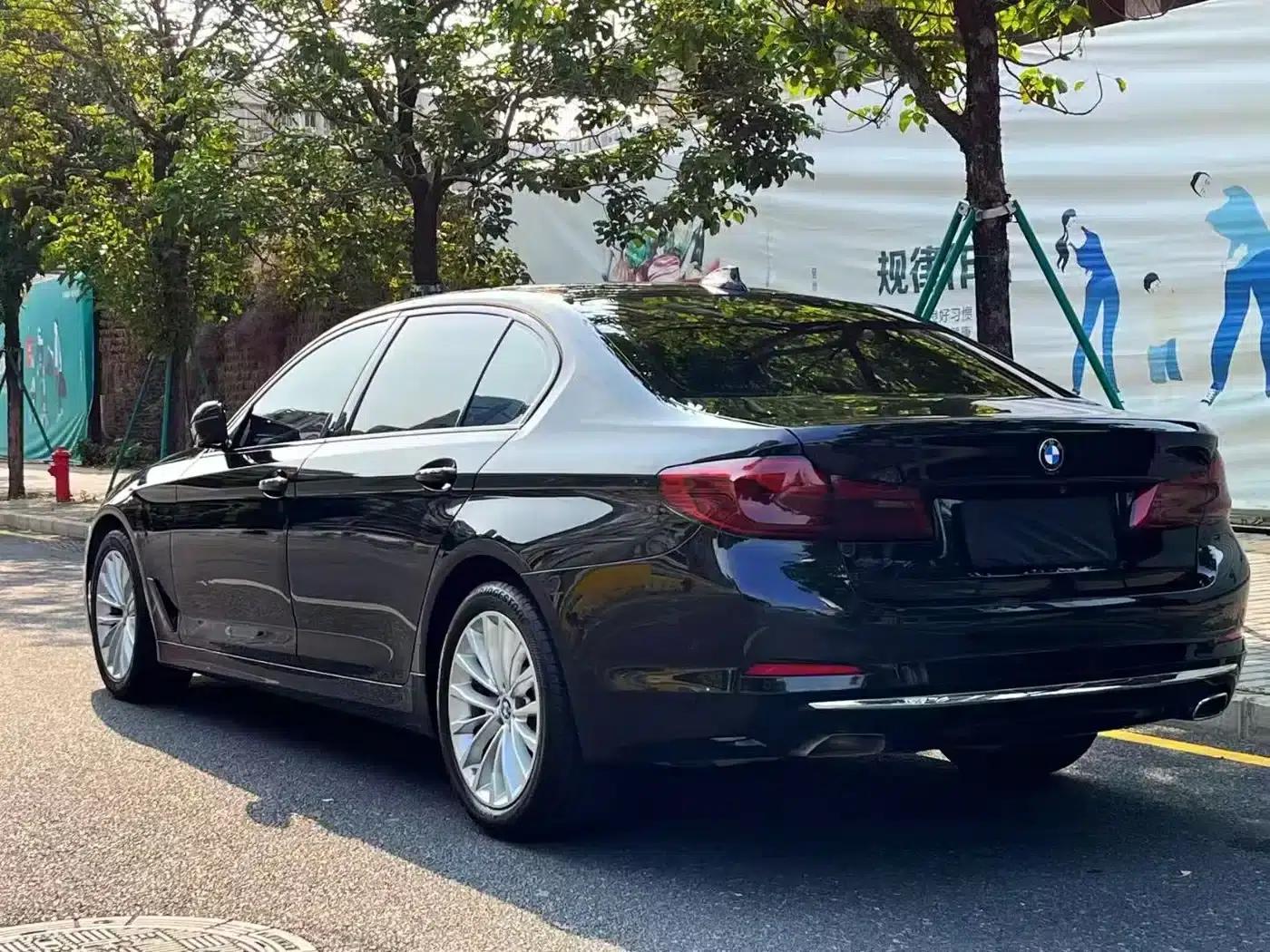 BMW 5 Series 2020 530Li Luxury Package — миниатюра 9