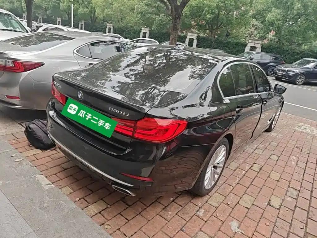 BMW 5 Series 2020 530Li Luxury Package — миниатюра 5