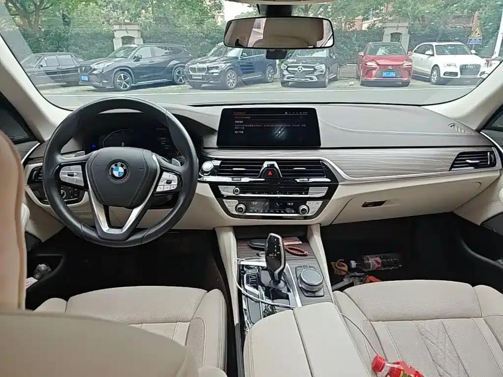 BMW 5 Series 2020 530Li Luxury Package — миниатюра 6