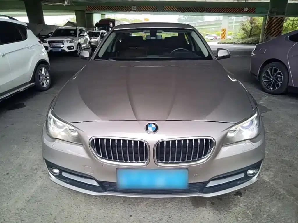 2014 BMW 5 Series 525Li Leading Edition — миниатюра 3