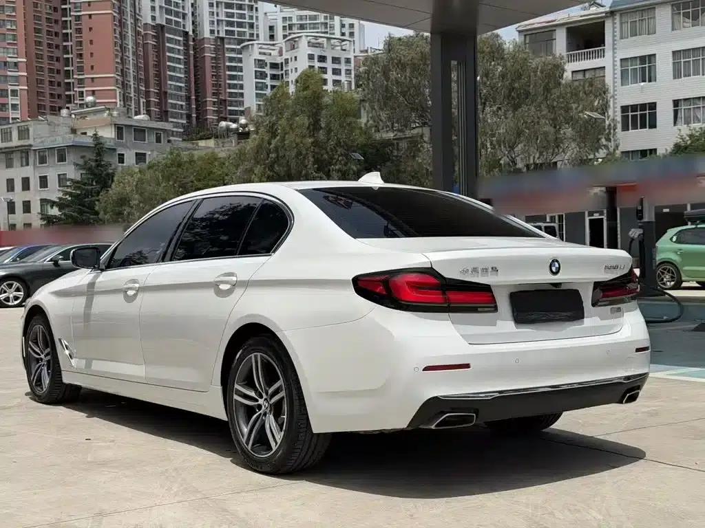 BMW 5 Series 2021 530Li Leading Luxury Package — миниатюра 9