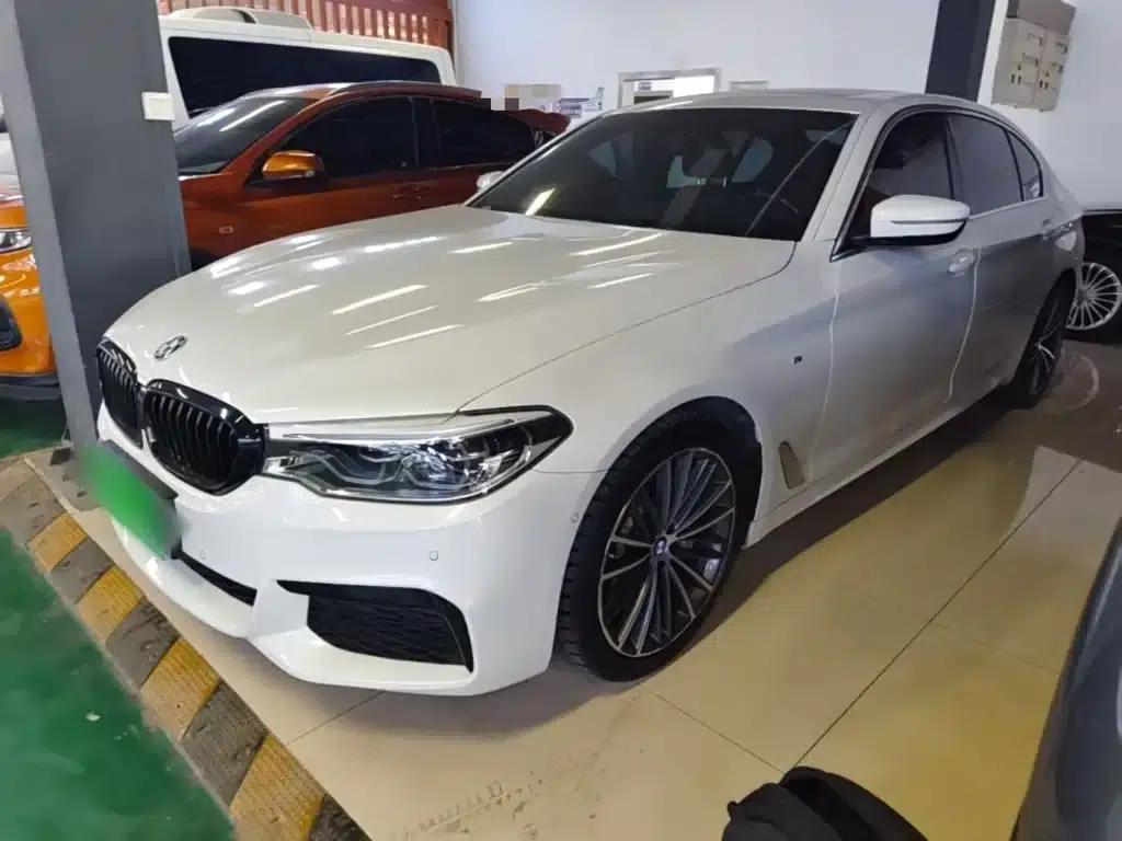 2020 BMW 5 Series 530Li Leading Edition M Sport Package — миниатюра 1