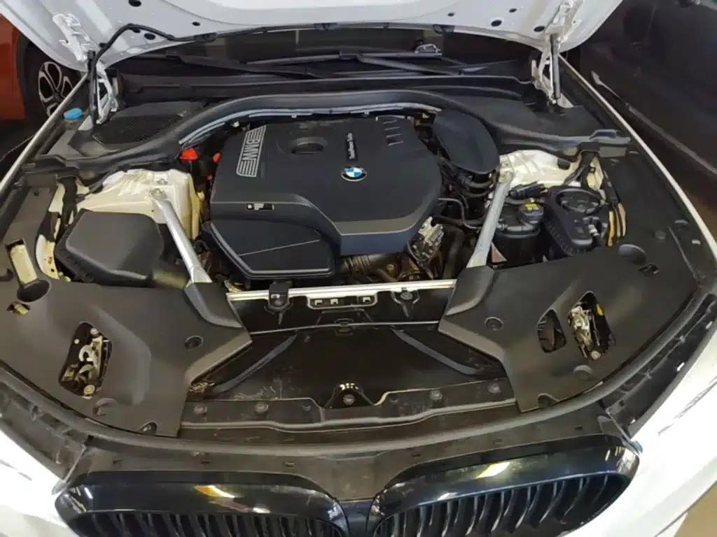 2020 BMW 5 Series 530Li Leading Edition M Sport Package — миниатюра 20