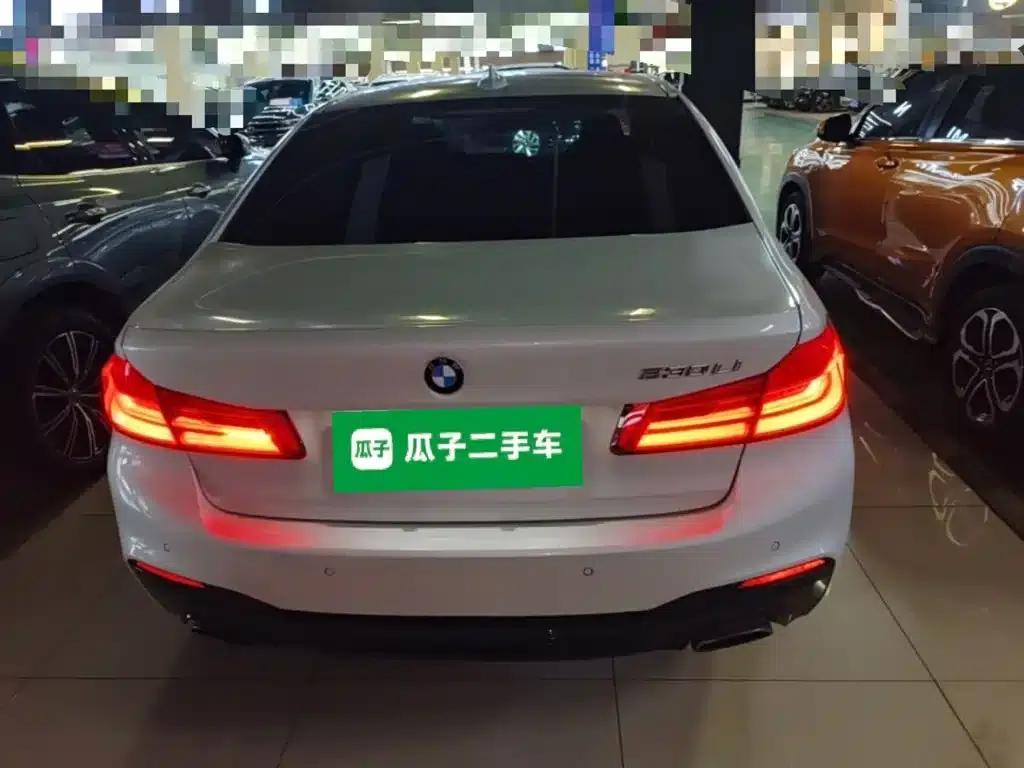 2020 BMW 5 Series 530Li Leading Edition M Sport Package — миниатюра 6