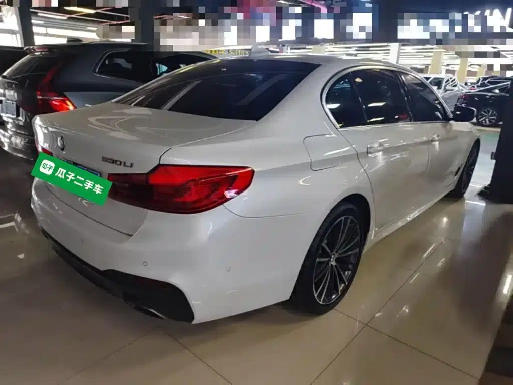 2020 BMW 5 Series 530Li Leading Edition M Sport Package — миниатюра 7
