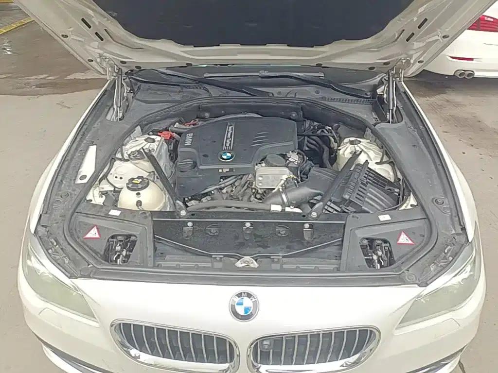 2014 BMW 5 Series 520Li Elegant Edition — миниатюра 20