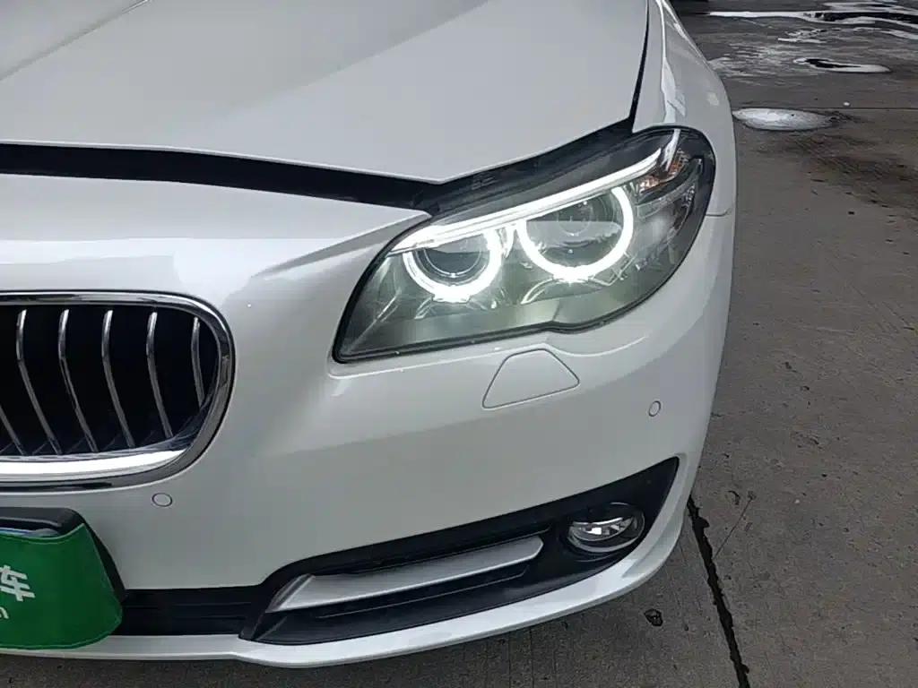2014 BMW 5 Series 520Li Elegant Edition — миниатюра 24