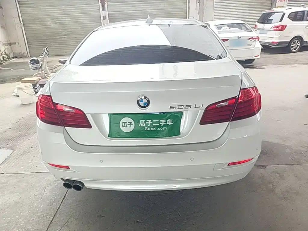 2014 BMW 5 Series 520Li Elegant Edition — миниатюра 6