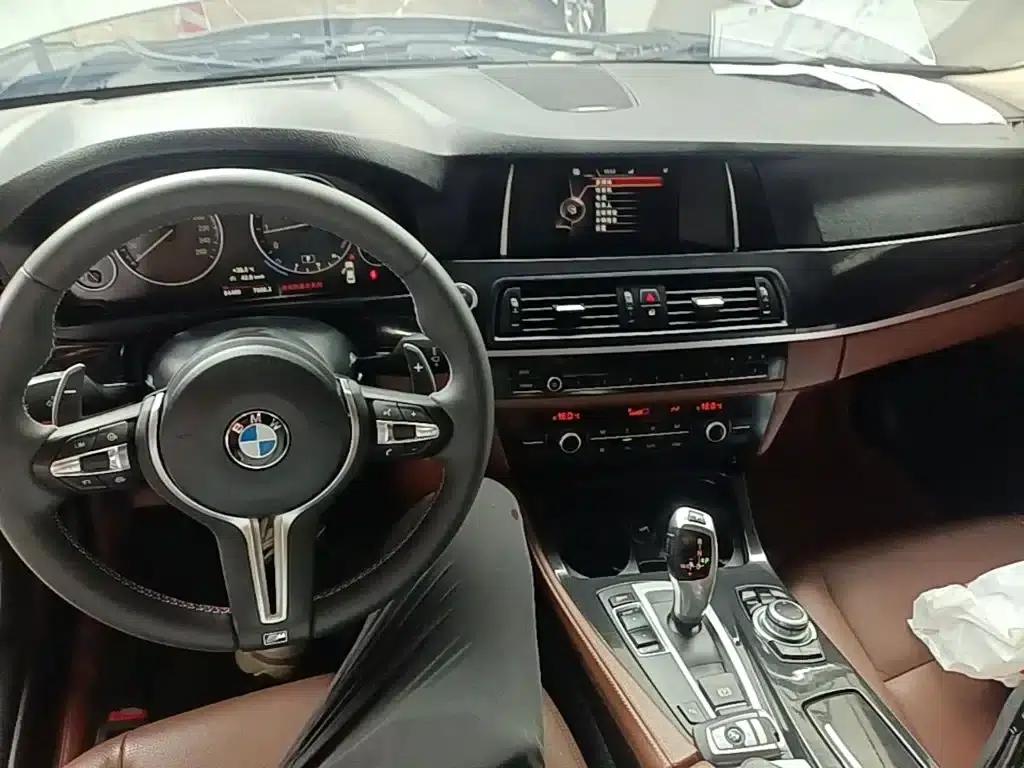 2014 BMW 5 Series 520Li Elegant Edition — миниатюра 10