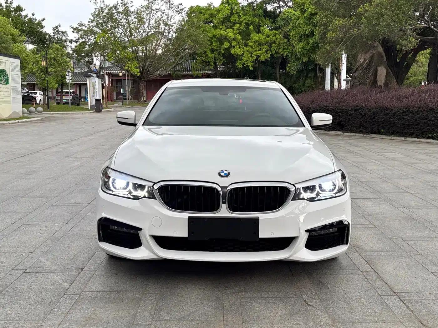 BMW 5 Series (Imported) 2019 525i M Sport Package — миниатюра 4