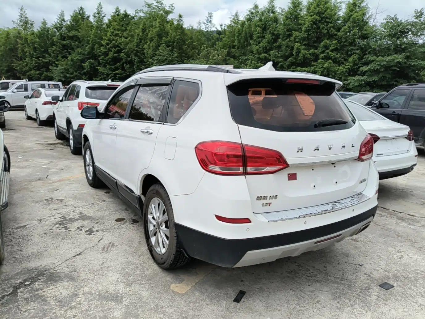 Haval H6 2018 Blue Label Sport Edition 1.5T Automatic Two-Wheel Drive Elite Model — миниатюра 4
