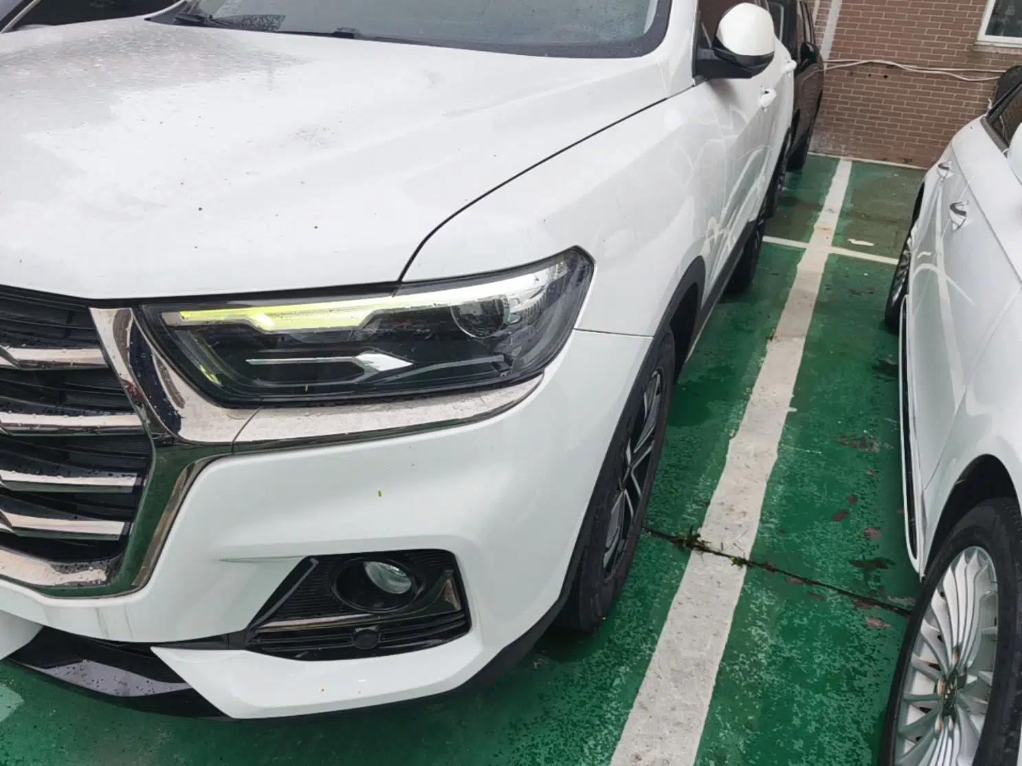 Haval H6 2021 National Trend Edition 1.5T Automatic Urban Version — миниатюра 8