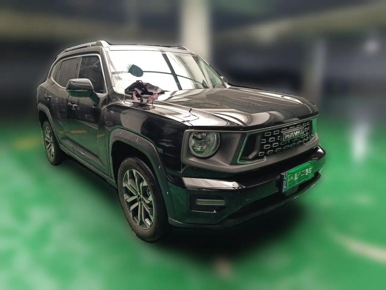 Haval H Dog 2023 2.0T All-Wheel-Drive Chaoye Plus — миниатюра 3
