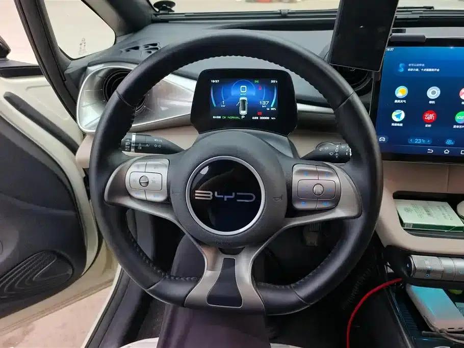 Dolphin 2023 420km Fashion Edition — миниатюра 15
