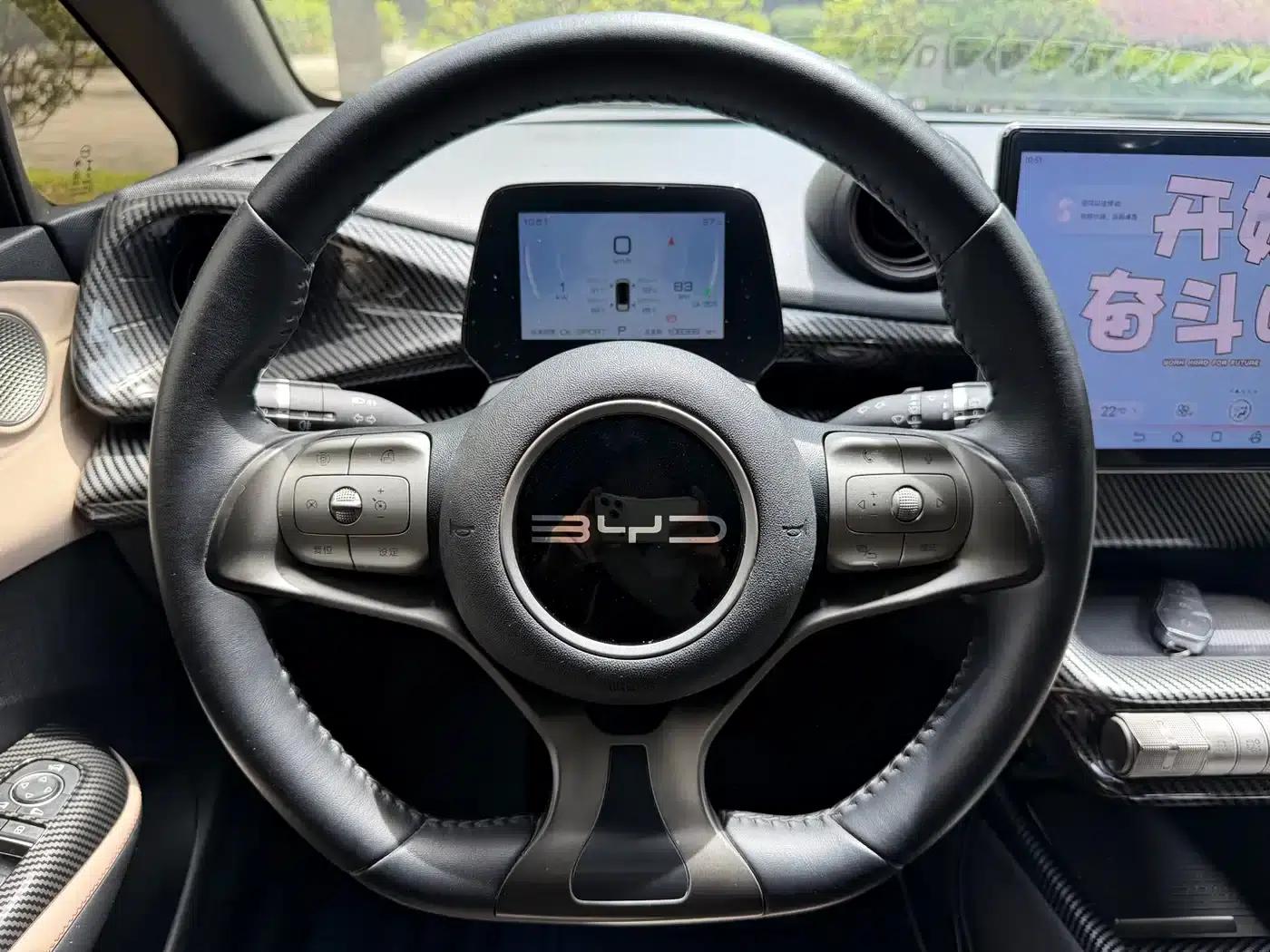 Dolphin 2023 420km Fashion Edition — миниатюра 7
