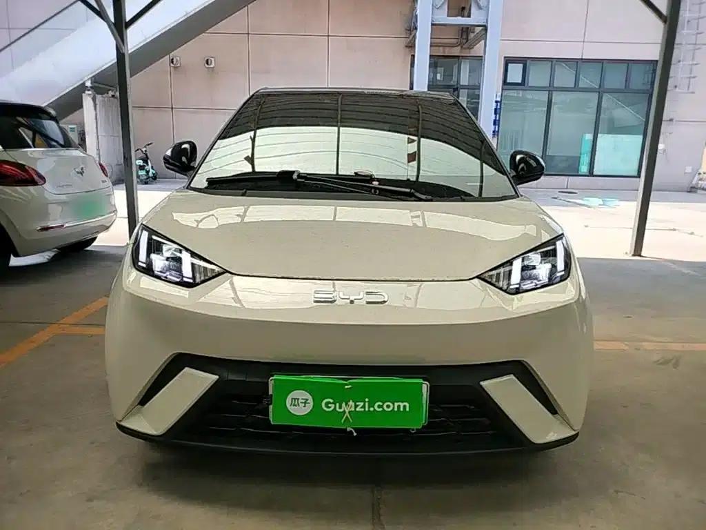 Seagull 2024 Glory Edition 305km Freedom Edition — миниатюра 3