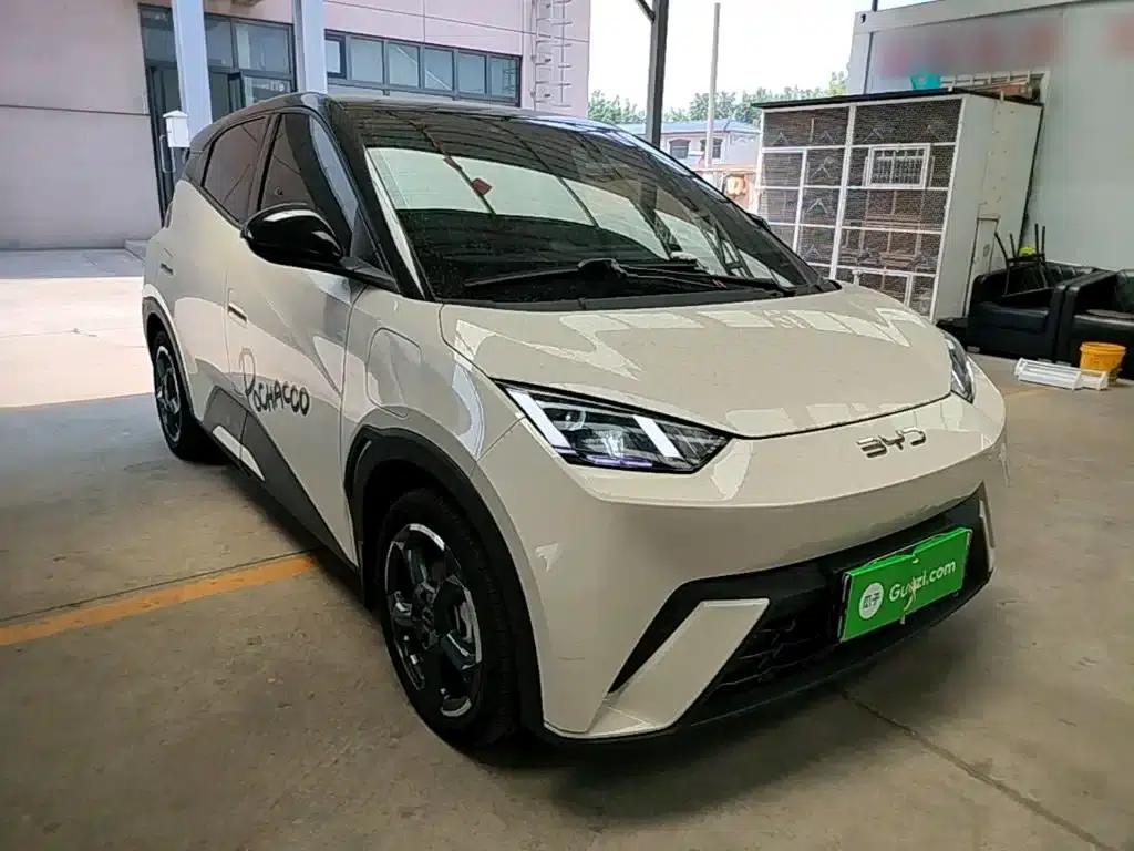 Seagull 2024 Glory Edition 305km Freedom Edition — миниатюра 4