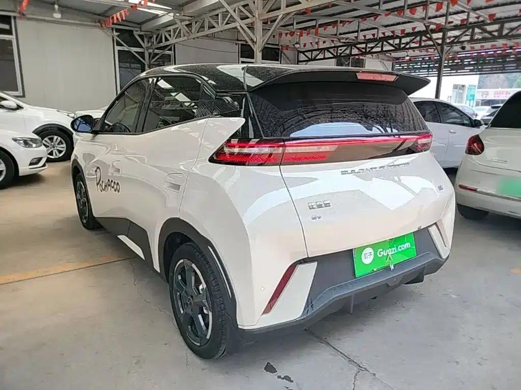 Seagull 2024 Glory Edition 305km Freedom Edition — миниатюра 5