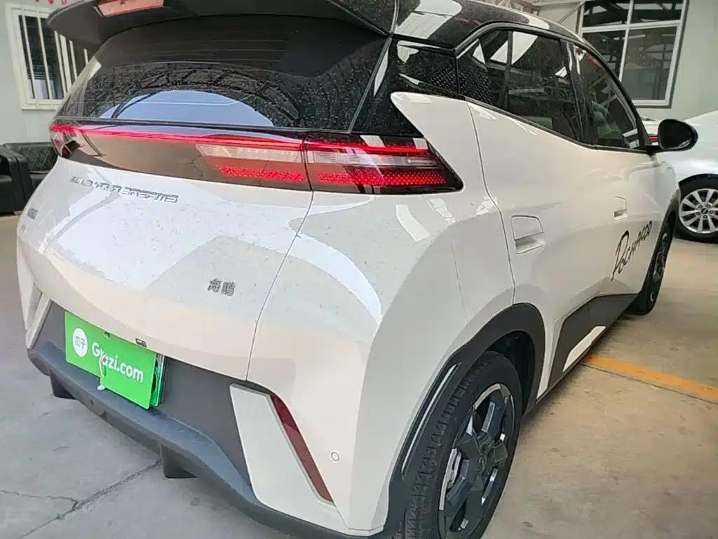 Seagull 2024 Glory Edition 305km Freedom Edition — миниатюра 8