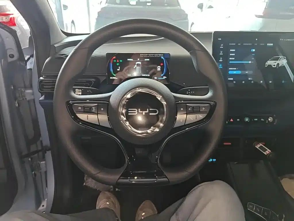 Seagull 2025 Smart Driving Edition 305km Vitality Edition — миниатюра 11