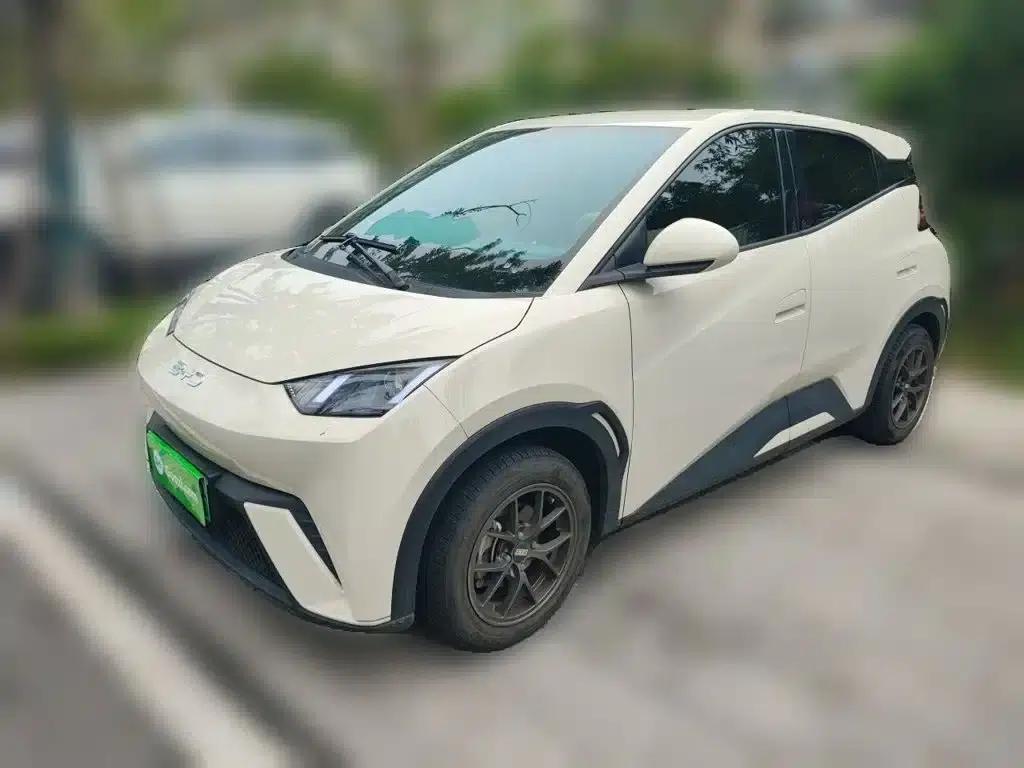 Seagull 2024 Glory Edition 305km/h Vitality Edition — миниатюра 1