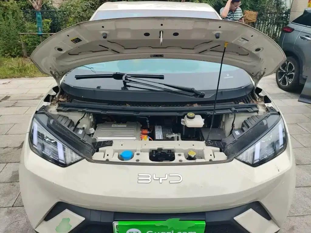 Seagull 2024 Glory Edition 305km/h Vitality Edition — миниатюра 11