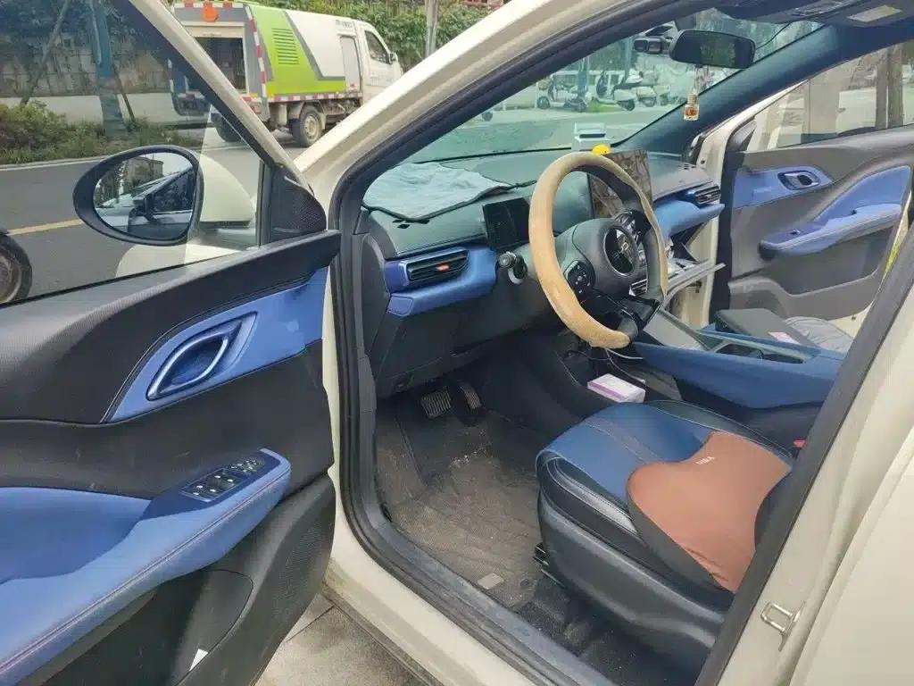 Seagull 2024 Glory Edition 305km/h Vitality Edition — миниатюра 14