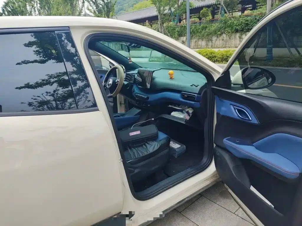 Seagull 2024 Glory Edition 305km/h Vitality Edition — миниатюра 20