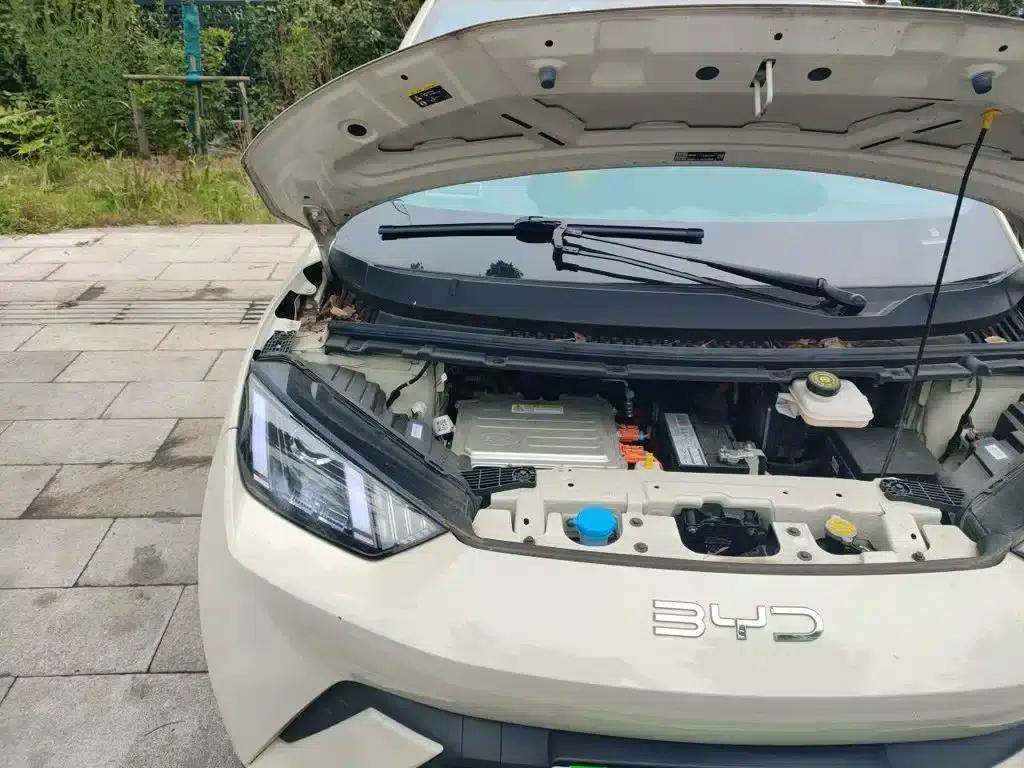 Seagull 2024 Glory Edition 305km/h Vitality Edition — миниатюра 21