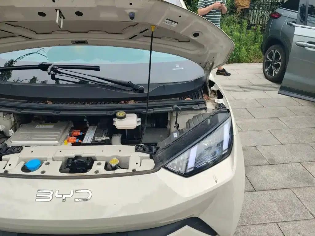 Seagull 2024 Glory Edition 305km/h Vitality Edition — миниатюра 22