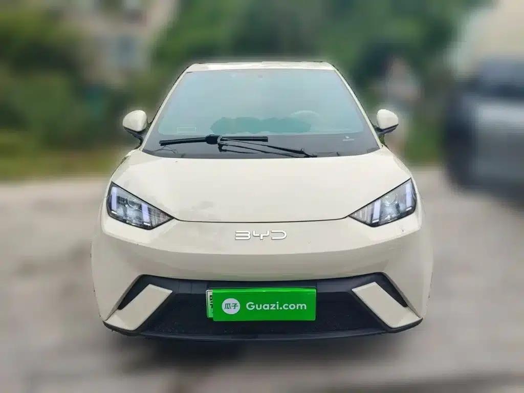 Seagull 2024 Glory Edition 305km/h Vitality Edition — миниатюра 24