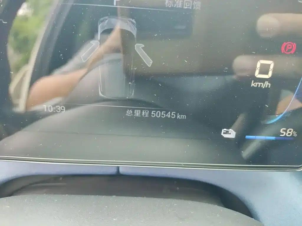 Seagull 2024 Glory Edition 305km/h Vitality Edition — миниатюра 5