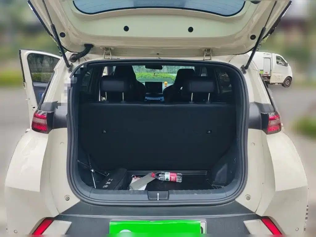 Seagull 2024 Glory Edition 305km/h Vitality Edition — миниатюра 10