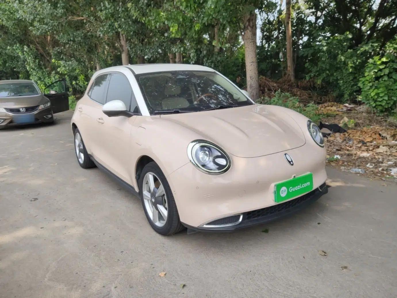 ORA Good Cat 2021 400km Standard Range Athena Edition Lithium-Ion Battery — миниатюра 3