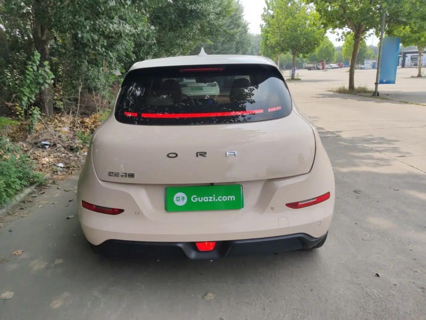 ORA Good Cat 2021 400km Standard Range Athena Edition Lithium-Ion Battery — миниатюра 5