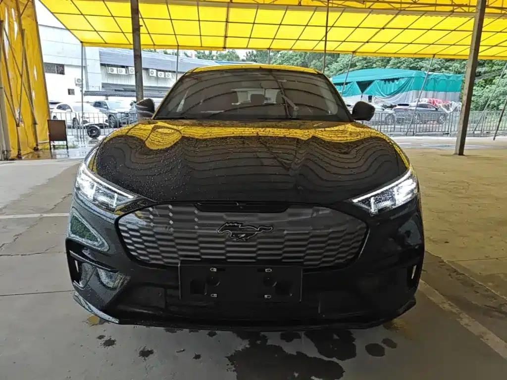 Ford e31 2021 Model X Long Range Rear-Wheel Drive — миниатюра 3