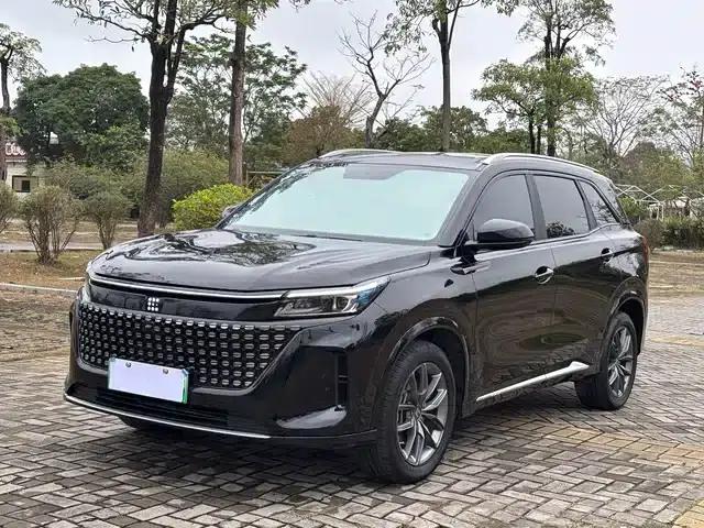 Blue Electric E5 2024 Glory Edition 100KM Enjoyment Model 7-Seater
