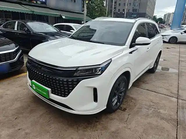 Blue Electric E5 2024 Glory Edition 100KM Premium 7-Seater