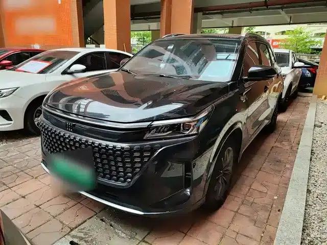 Blue Electric E5 2023 Model 1.5L DE-i 100KM Enjoyable Edition 7-Seater
