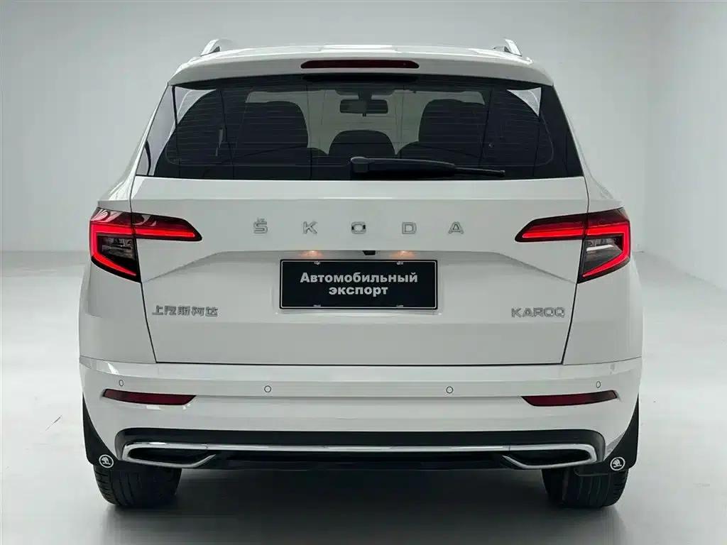 Karoq 2022 TSI280 Luxury Edition — миниатюра 16