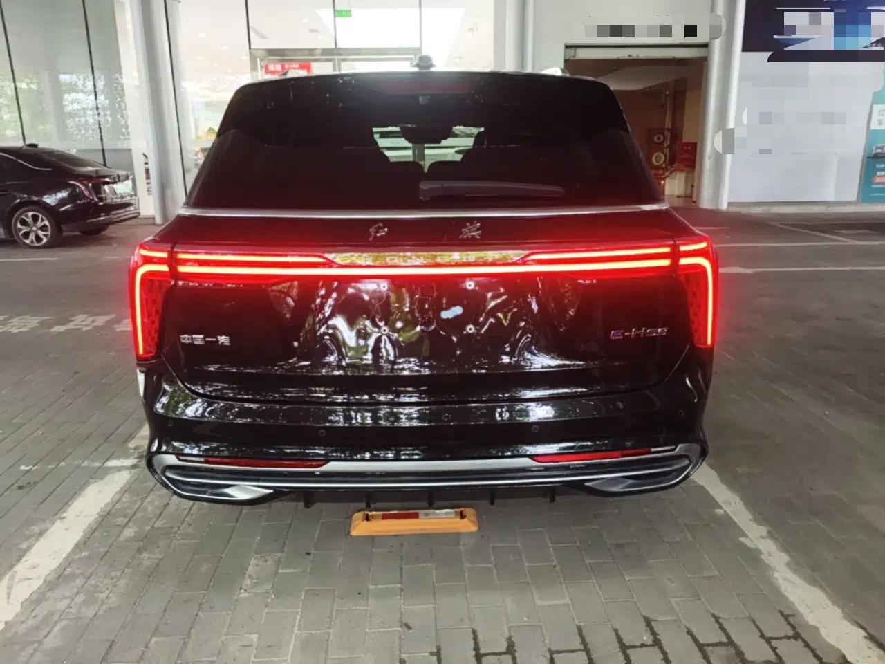 Hongqi E-HS9 2022 660 km Range Flagway Edition Six Seats — миниатюра 5