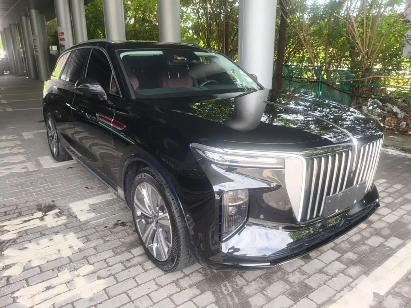 Hongqi E-HS9 2022 660 km Range Flagway Edition Six Seats — миниатюра 3