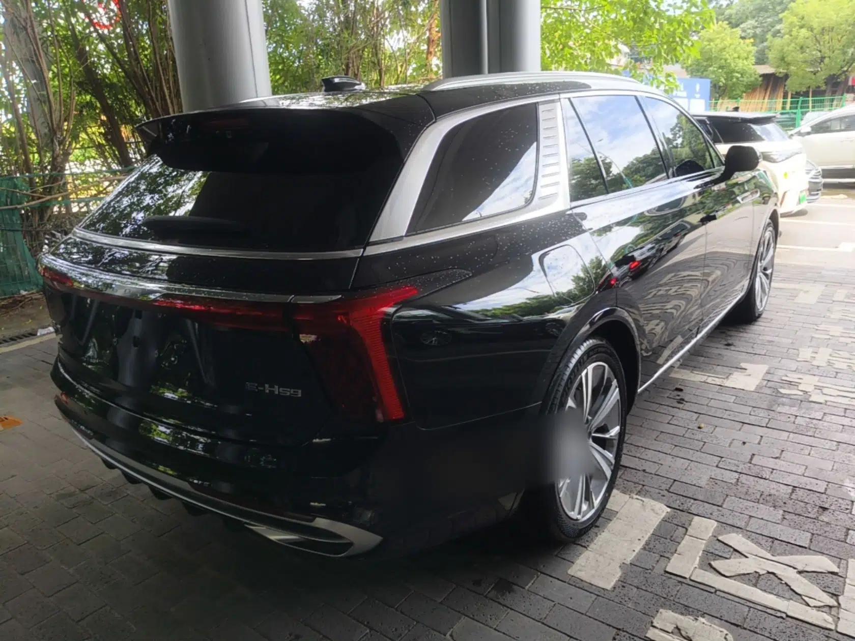 Hongqi E-HS9 2022 660 km Range Flagway Edition Six Seats — миниатюра 6