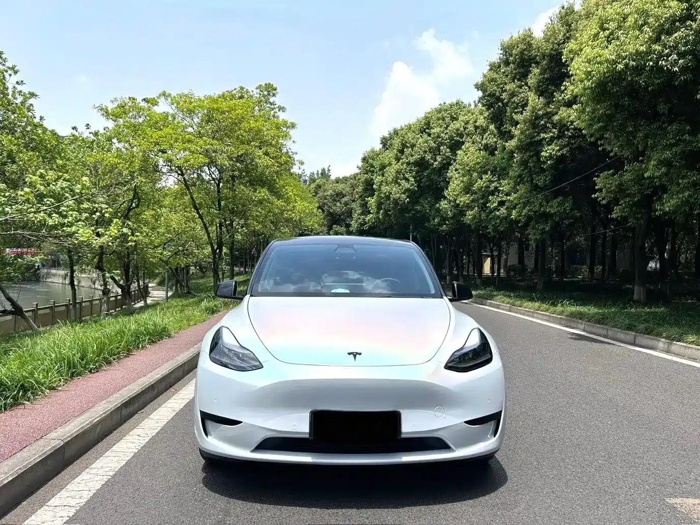 Model Y 2021 Long Range All-Wheel Drive — миниатюра 3