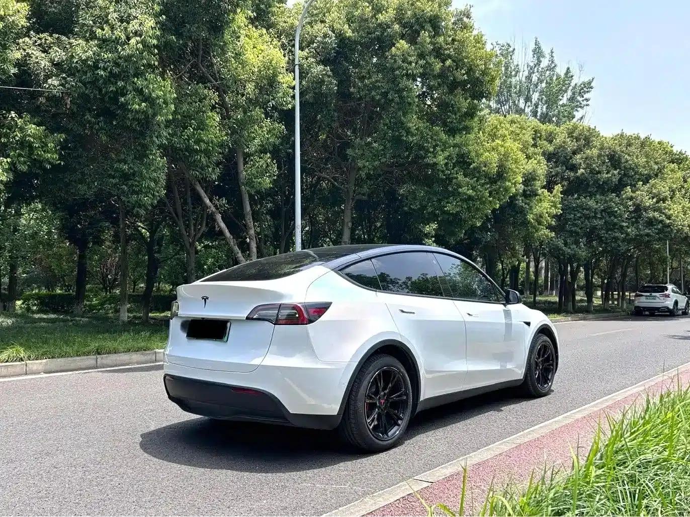 Model Y 2021 Long Range All-Wheel Drive — миниатюра 4