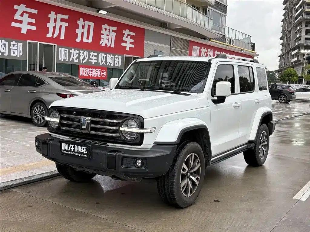 Tank 300 2024 Model 2.0T Crossover — миниатюра 1