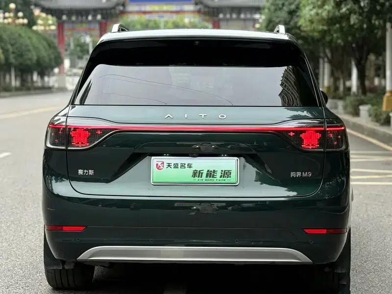 Wenjie M9 2024 Extended Range Max Six-Seater — миниатюра 5