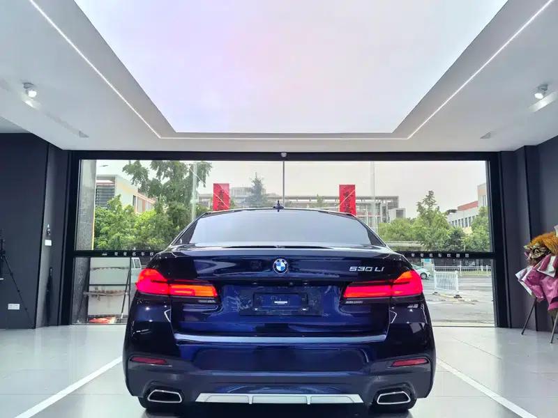 2021 BMW 5 Series 530Li Leading Edition M Sport Package — миниатюра 5